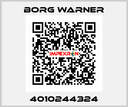 4010244324 Borg Warner