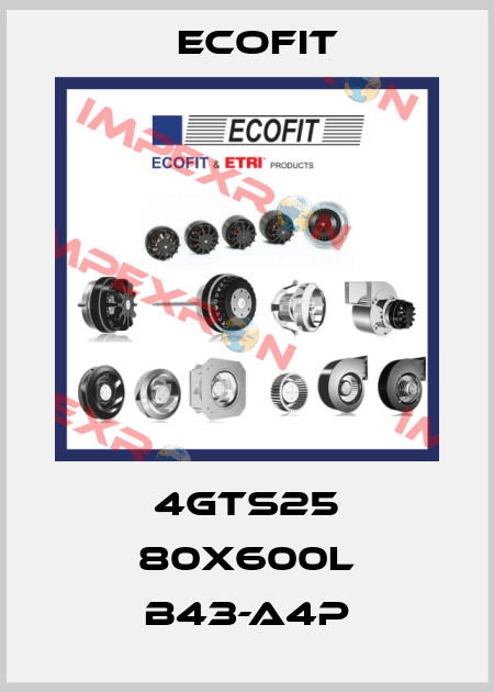 4GTS25 80x600L B43-A4p Ecofit