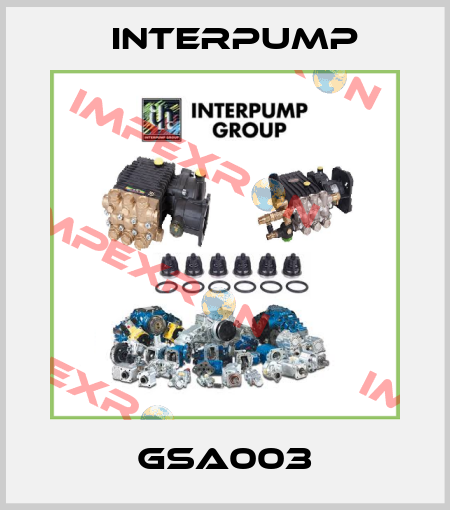 GSA003 Interpump