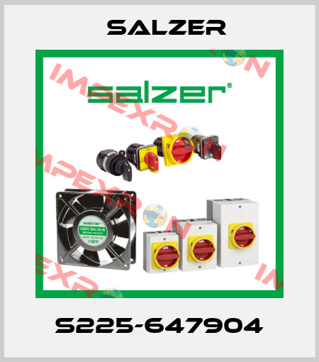 S225-647904 Salzer