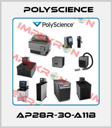AP28R-30-A11B Polyscience