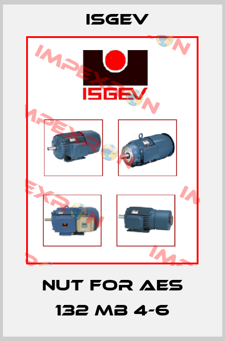 nut for AES 132 MB 4-6 Isgev