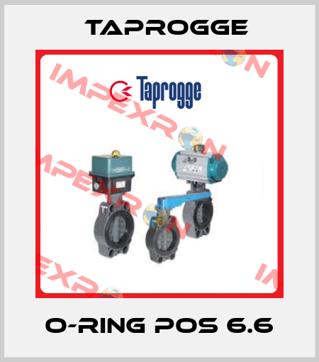O-ring Pos 6.6 Taprogge