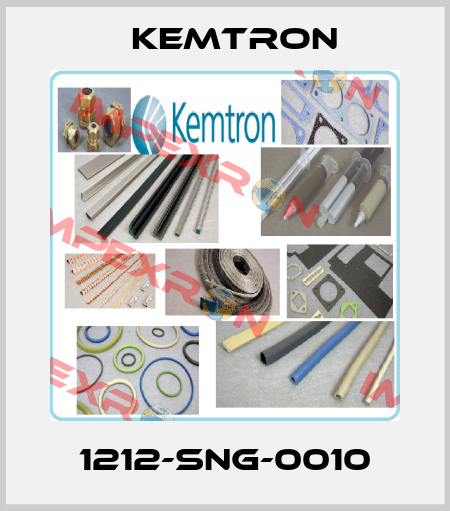 1212-SNG-0010 KEMTRON