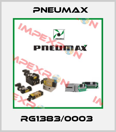 RG1383/0003  Pneumax