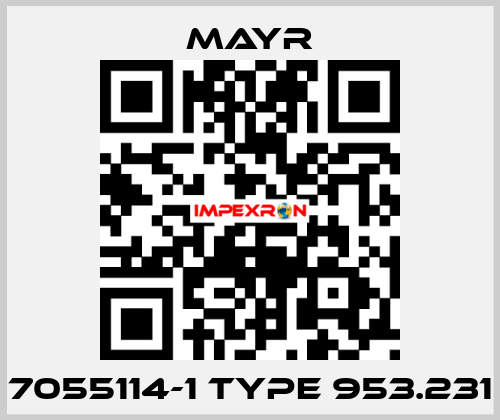 7055114-1 Type 953.231 Mayr