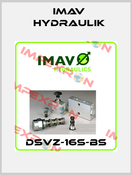 DSVZ-16S-BS IMAV Hydraulik