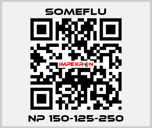 NP 150-125-250 SOMEFLU