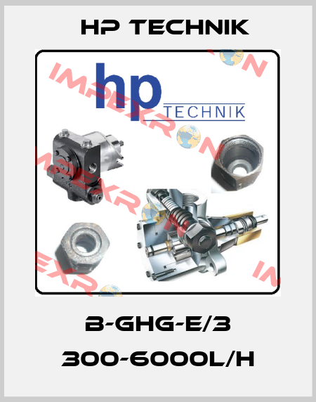 B-GHG-E/3 300-6000l/h HP Technik