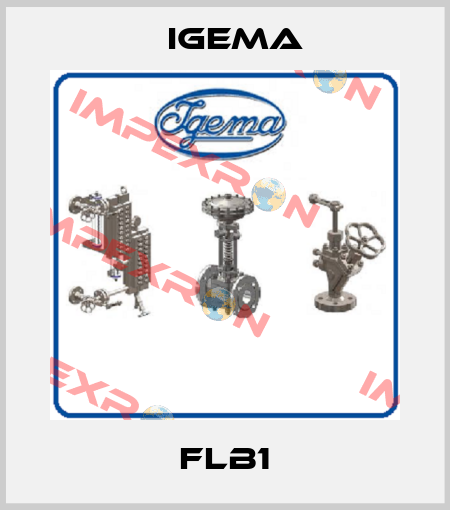 FLB1 Igema