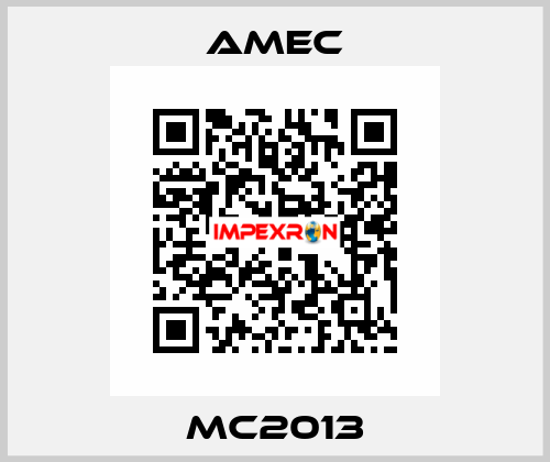 MC2013 AMEC