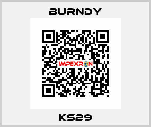 KS29 Burndy