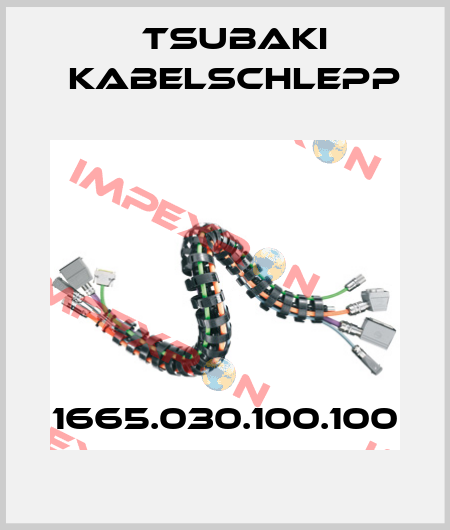 1665.030.100.100 Tsubaki Kabelschlepp