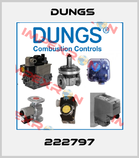 222797 Dungs