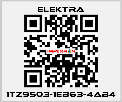 1TZ9503-1EB63-4AB4 ELEKTRA