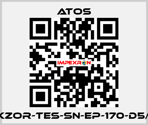 DKZOR-TES-SN-EP-170-D5/FI Atos