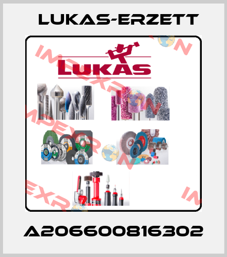 A206600816302 Lukas-Erzett