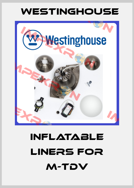 inflatable liners for M-TDV Westinghouse