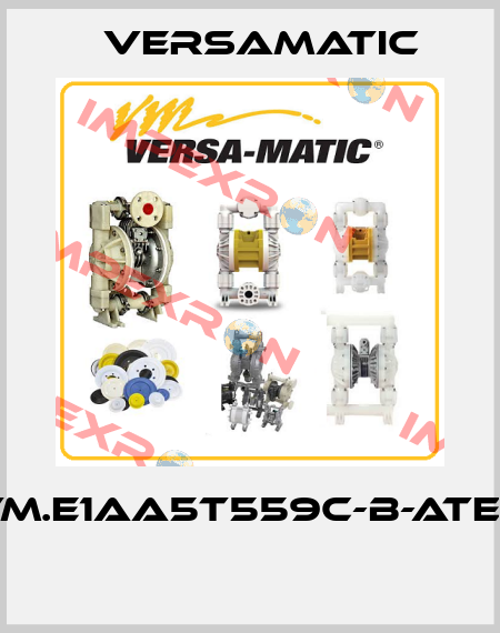 VM.E1AA5T559C-B-ATEX  VersaMatic