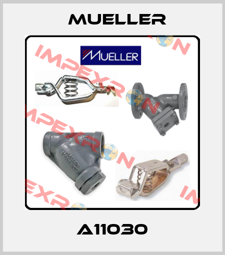 A11030 Mueller