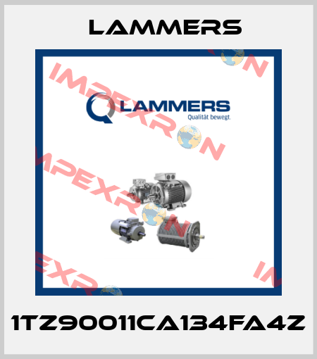 1TZ90011CA134FA4Z Lammers