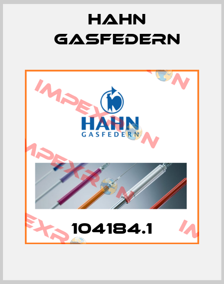 104184.1 Hahn Gasfedern