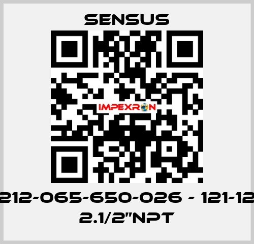 212-065-650-026 - 121-12 2.1/2”NPT Sensus