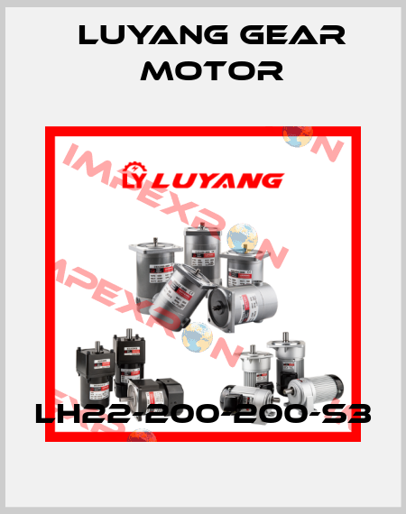 LH22-200-200-S3 Luyang Gear Motor