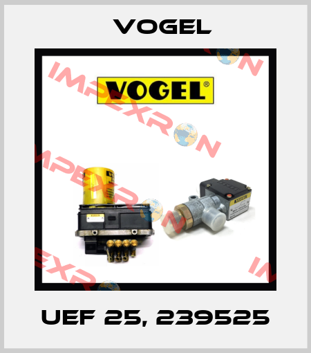 UEF 25, 239525 Vogel