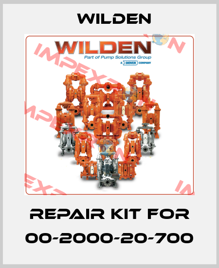 repair kit for 00-2000-20-700 Wilden
