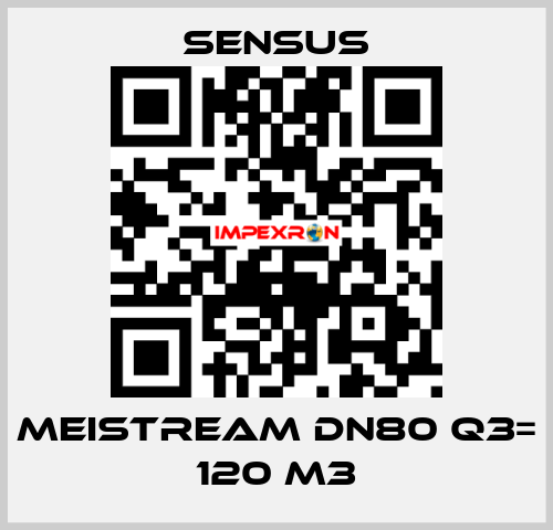 Meistream DN80 Q3= 120 m3 Sensus