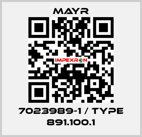 7023989-1 / Type 891.100.1 Mayr