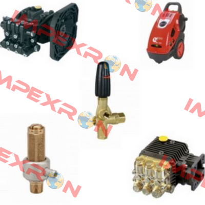 Type W 951 / M42001194 Interpump