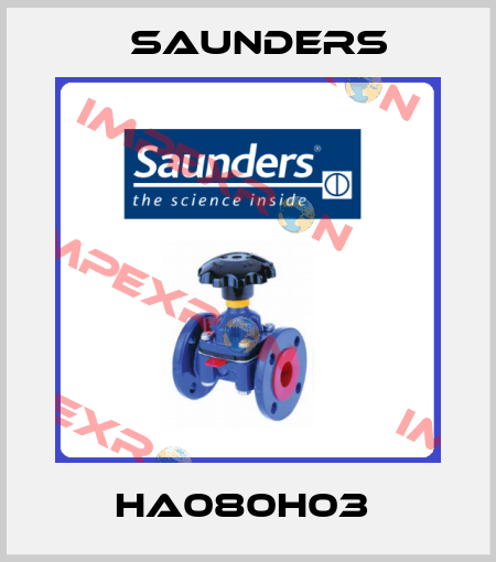 HA080H03  Saunders