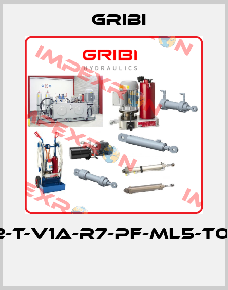 MC2-T-V1A-R7-PF-ML5-T02-F1  GRIBI