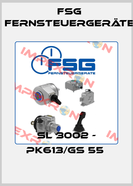 SL 3002 - PK613/GS 55  FSG Fernsteuergeräte
