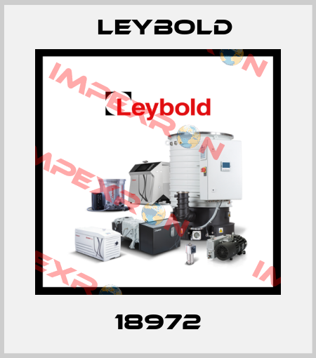 18972 Leybold
