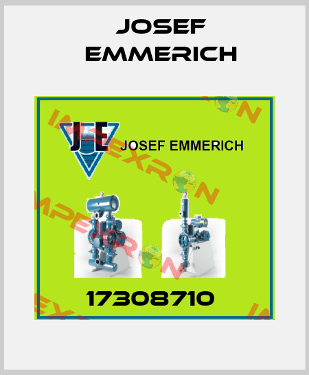 17308710  Josef Emmerich