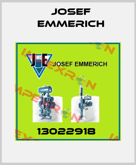 13022918  Josef Emmerich