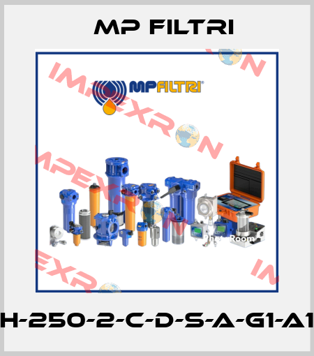 MPH-250-2-C-D-S-A-G1-A10-T MP Filtri