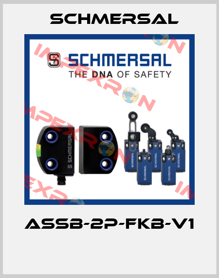ASSB-2P-FKB-V1  Schmersal