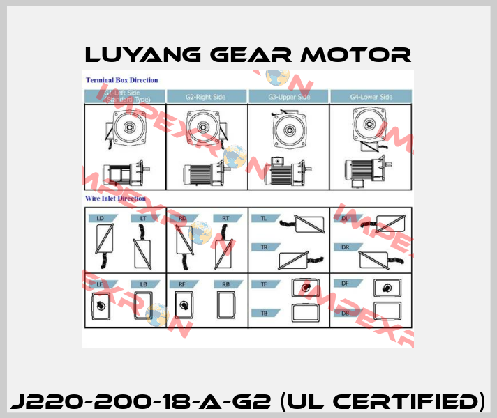 J220-200-18-A-G2 (UL certified) Luyang Gear Motor