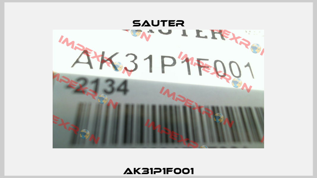 AK31P1F001 Sauter