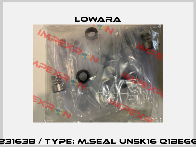 002231638 / Type: M.SEAL UN5K16 Q1BEGG-WA Lowara