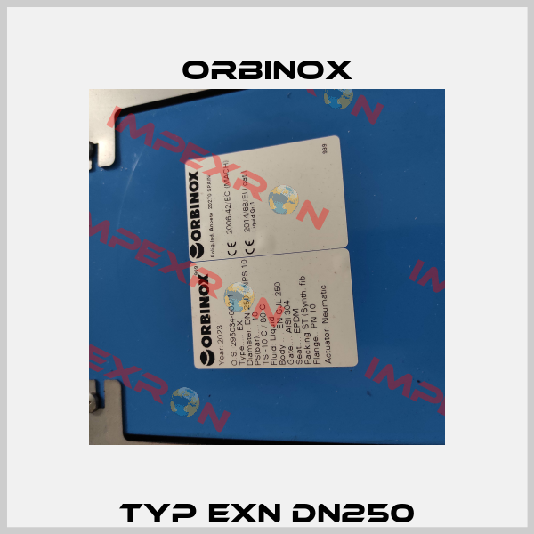 Typ EXN DN250 Orbinox
